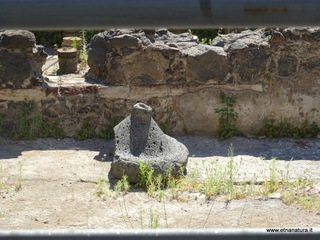 rme della Rotonda15-06-2017 09-45-11
